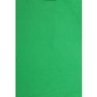 green screen tyg green screen tyg